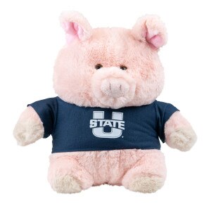 mascot factory u-state chubby wubby pig plush